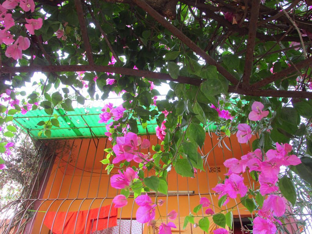 Pubali Homestay Bolpur Zewnętrze zdjęcie